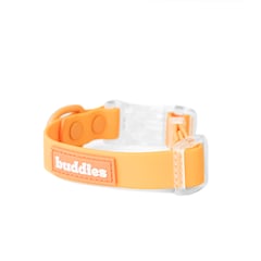 BUDDIES - Collar Para Perros Ajustable Naranja M y L