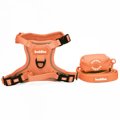 BUDDIES - Arnes Pechera y correa 152cm mascotas Naranja M y L