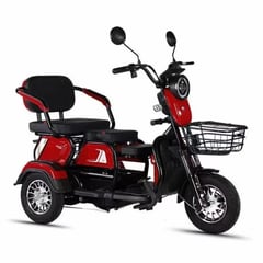 GENERICO - TRIMOTO ELECTRICA 3 RUEDAS 800W 60V 20H