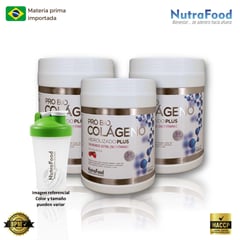 NUTRAFOOD - Colágeno Hidrolizado Plus sabor frutos rojos 500gr x 3 unidades