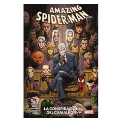 PANINI - AMAZING SPIDER-MAN N13