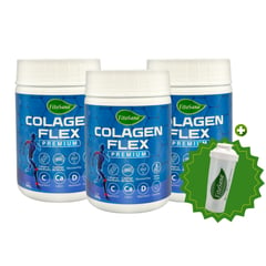 FITOSANA - COLAGEN FLEX PREMIUM 300g 03 COLAGEN + SHAKER REGALO