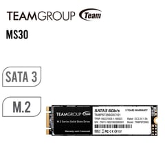 TEAMGROUP - SSD MS30 M2 2280 512GB SATA III 6Gbs PN TM8PS7512G0C101