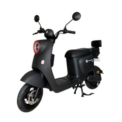 GREENLINE - Bicimoto Eléctrica Litio Extraíble Premium VMP T2 NEGRO