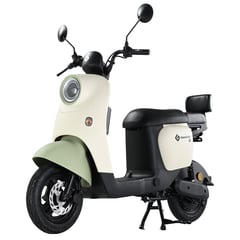 GREENLINE - Bicimoto Eléctrica Litio Extraíble Premium VMP T2 VERDE