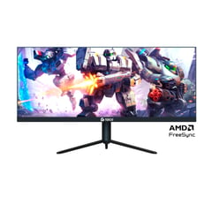 TEROS - Monitor flat TE-2910G 29 IPS