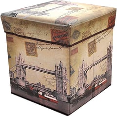 GENERICO - Caja Organizador Puff River Thames