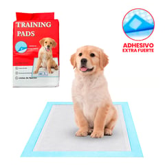 Pet In Care - Pañales de Piso con Adhesivo -Talla L para Mascotas