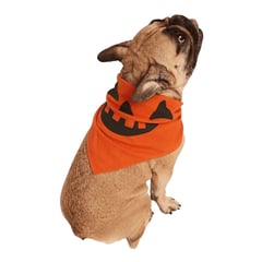 LA PLAQUITA - Bandana Calabaza Halloween para perros Disfraz TALLA LXL