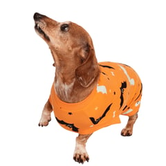 LA PLAQUITA - Polo Murcielagos Halloween para perros Disfraz TALLA S