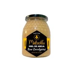 1976 NATURAL PRODUCTS - Miel de abeja cruda - Sierra - Eucalipto - 1 KG