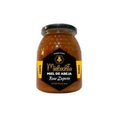 1976 NATURAL PRODUCTS - Miel de abeja cruda - Costa - Zapote - 1 KG