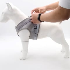 GENERICO - Pechera con correa para perros talla M Gris