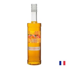 GOURMET 117 - Licor Vedrenne Apricot 16% 700 Ml