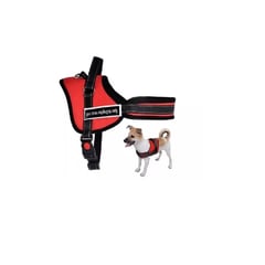 OTTOWARE - Arnés para Mascotas Dog Happy Talla M