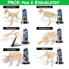 GENERICO - Pack de 6 Esqueletos de Dinosaurios armables y variados