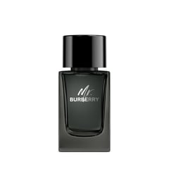 BURBERRY - Mr. Burberry Eau de Parfum 100 ml
