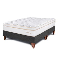 PARAISO - Cama Europea Royal Dynasty Queen + 2 Almohadas Viscoelásticas + Protector