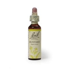 BACH - Mustard 20ml Alegría y Luz