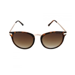 STEVE MADDEN - Lentes De Sol X17080 Mujer