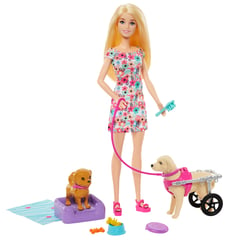 BARBIE - Muñeca Paseo de Perrito Con Silla de Ruedas