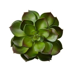 CRATE & BARREL - Rama de Suculenta "Echeveria Green" Artificial