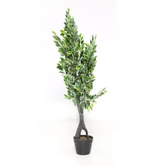 Planta Mini Ficus Con Pot - 120x17cm