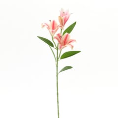 MICA - Lily Rosado 70 cm