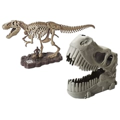 DINO VALLEY - Maleta Esqueleto de Dinosaurio