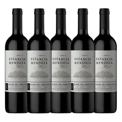 ESTANCIA MENDOZA - Vino Sirah x 5 Botellas