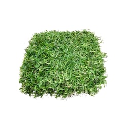 S/M - Grass Americano Natural por M2