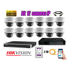 HIKVISION - Camara de Seguridad Ip Full HD 1080P Interior Kit 12 Disco 2TB WD Purpura