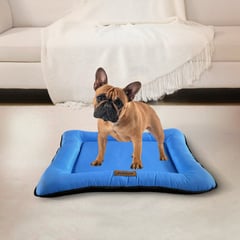 PETIZOOS - Colchoneta para Perro Impermeable Talla M Celeste