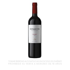 NIETO SENETINER - Vino Benjamin Malbec 750 mL