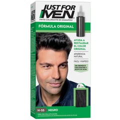 JFM - Tinte para Cabello Just For Men H-55 Negro