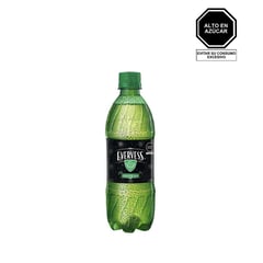 EVERVESS - Gaseosa Ginger Ale 500 mL