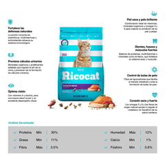 RICOCAT - Comida para gatos adultos Festival de Sabores de 9 kg