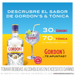 GORDONS - Gin Gordon's London Dry 750 mL