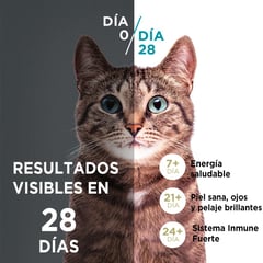 PURINA ONE - Alimento para gato Esterilizado sabor Salmón en bolsa de 2 kg