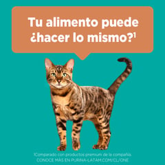 PURINA ONE - Alimento para Gato Adultos sabor pollo y salmon en bolsa de 2 kg