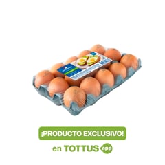 SAN FERNANDO - Huevos De Gallina (15 unidades)